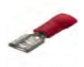 CONTACTORES HEMBRA AISLADAS ROJA